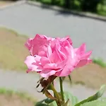 Rural, Relais Equestre Le Tulipier Pradelles-Cabardes