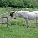 Rural, Relais Equestre Le Tulipier Prázdninový dům