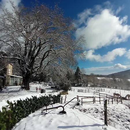 Rural, Relais Equestre Le Tulipier *