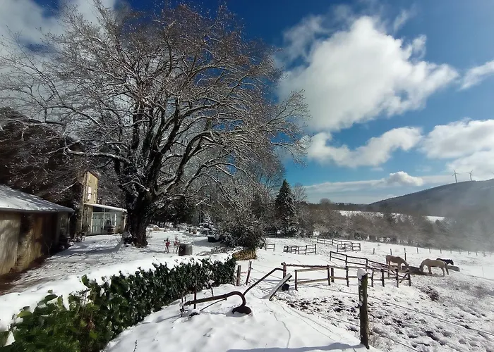 Rural, Relais Equestre Le Tulipier *