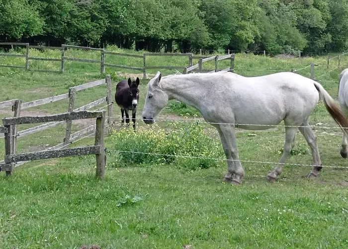 Rural, Relais Equestre Le Tulipier Σπίτι διακοπών